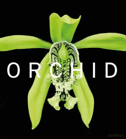 Orchid [KSIĄŻKA]