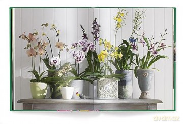 Orchids - Anja Klaffenbach [KSIĄŻKA]