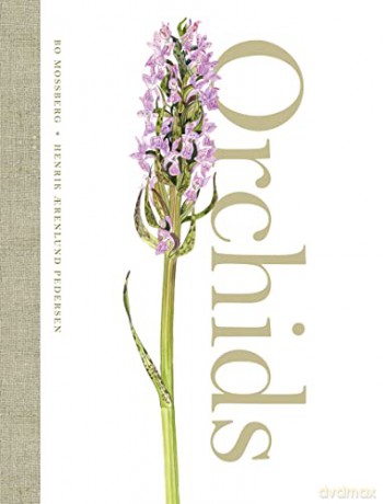 Orchids Hb - Bo Mossberg [KSIĄŻKA]