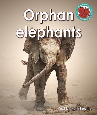 Orphan Elephants - Kath Beattie [KSIĄŻKA]