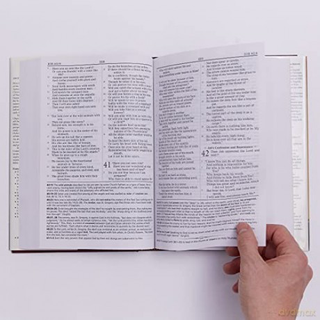 Orthodox Study Bible [KSIĄŻKA]