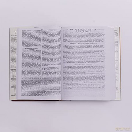 Orthodox Study Bible [KSIĄŻKA]