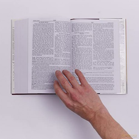 Orthodox Study Bible [KSIĄŻKA]