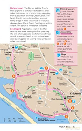 Os Short Walks Made Easy Dorsets Jurassi - Ordnance Survey [KSIĄŻKA]