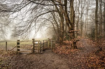 Os Short Walks Made Easy The Chilterns - Ordnance Survey [KSIĄŻKA]