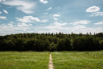 Os Short Walks Made Easy The Chilterns - Ordnance Survey [KSIĄŻKA]
