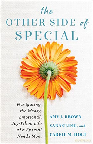 Other Side Of Special The - Amy J. Brown [KSIĄŻKA]