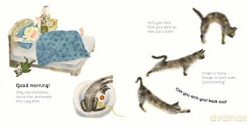Our Cat S Day [KSIĄŻKA]