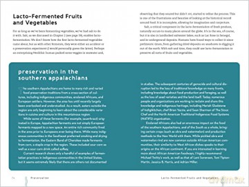 Our Fermented Lives - Julia Skinner [KSIĄŻKA]