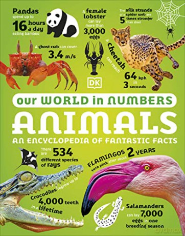 Our World In Numbers Animals [KSIĄŻKA]