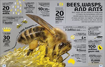 Our World In Numbers Animals [KSIĄŻKA]