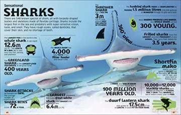 Our World In Numbers Animals [KSIĄŻKA]
