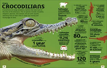 Our World In Numbers Animals [KSIĄŻKA]