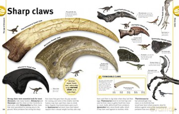 Our World In Pictures The Dinosaur Book [KSIĄŻKA]
