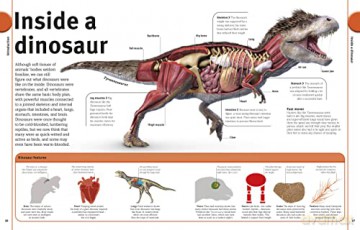 Our World In Pictures The Dinosaur Book [KSIĄŻKA]