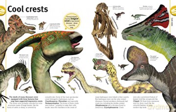 Our World In Pictures The Dinosaur Book [KSIĄŻKA]