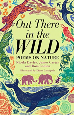 Out There In The Wild Poems On Nature - Nicola Et Al Davies [KSIĄŻKA]
