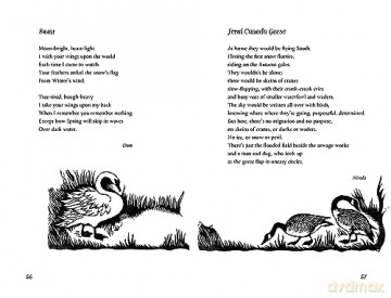 Out There In The Wild Poems On Nature - Nicola Et Al Davies [KSIĄŻKA]