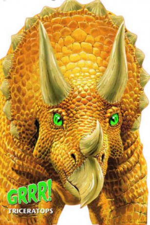 Grrr Triceratops Karton [KSIĄŻKA]
