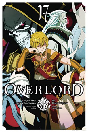 Overlord Vol 17 - Kugane Maruyama [KSIĄŻKA]