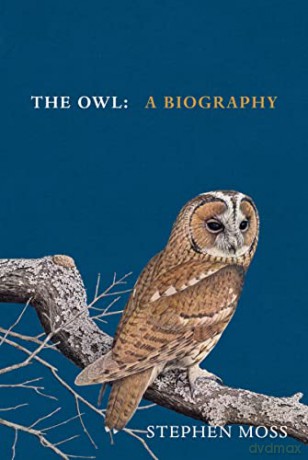 Owl - Stephen Moss [KSIĄŻKA]