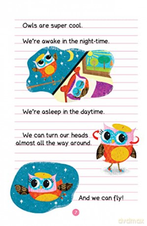 Owl Diaries Bind Up 1 - Rebecca Elliott [KSIĄŻKA]