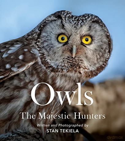 Owls [KSIĄŻKA]