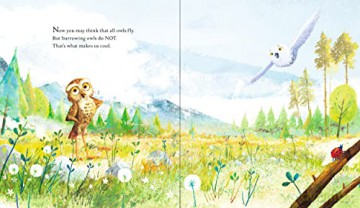 Owls Are Cool - Timothy Knapman [KSIĄŻKA]