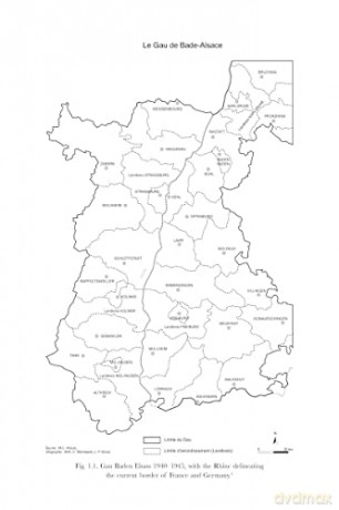 Paediatrics In The Reichsuniversitat St [KSIĄŻKA]