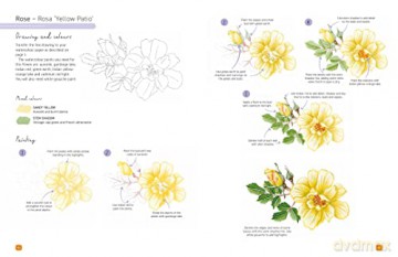 Paint 50 Watercolour Flowers - Penny Brown [KSIĄŻKA]