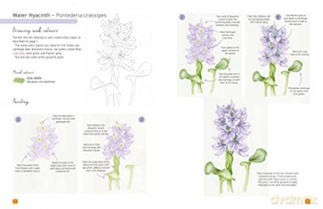 Paint 50 Watercolour Flowers - Penny Brown [KSIĄŻKA]