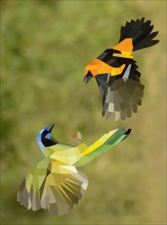 Paint By Sticker Birds [KSIĄŻKA]