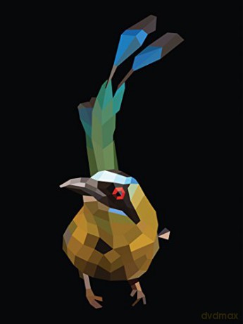 Paint By Sticker Birds [KSIĄŻKA]
