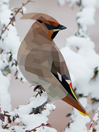 Paint By Sticker Birds [KSIĄŻKA]