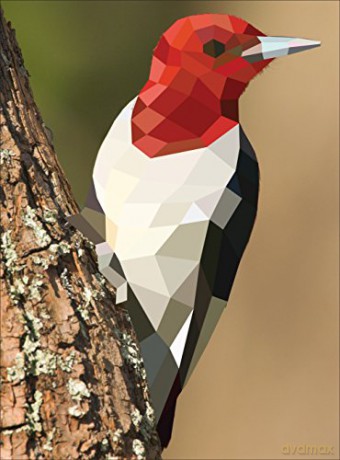 Paint By Sticker Birds [KSIĄŻKA]