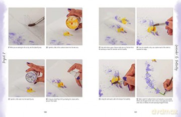 Painting With Brusho - Joanne Boon Thomas [KSIĄŻKA]