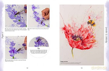 Painting With Brusho - Joanne Boon Thomas [KSIĄŻKA]