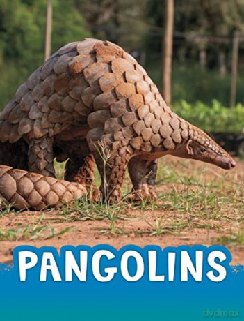 Pangolins - Jaclyn Jaycox [KSIĄŻKA]
