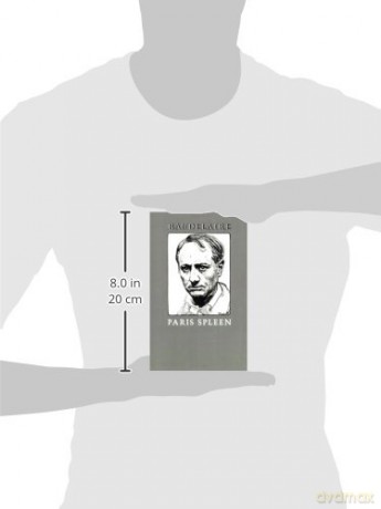 Paris Spleen - Charles Baudelaire [KSIĄŻKA]