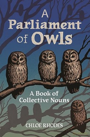 Parliament Of Owls - Chloe Rhodes [KSIĄŻKA]