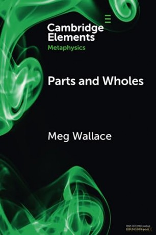 Parts And Wholes - Wallace Meg [KSIĄŻKA]