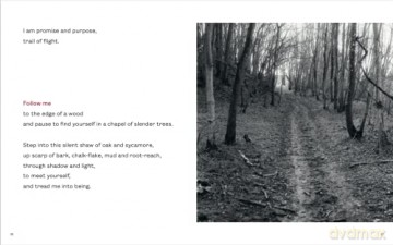 Path - Louisa T Brits [KSIĄŻKA]