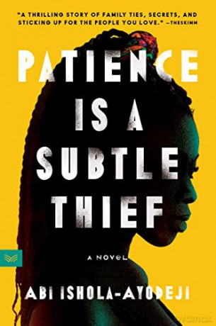 Patience Is A Subtle Thief Pb - Ishola Ayodeji Abi [KSIĄŻKA]
