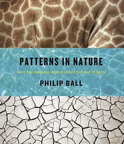 Patterns In Nature Why The Natu - Philip Ball [KSIĄŻKA]