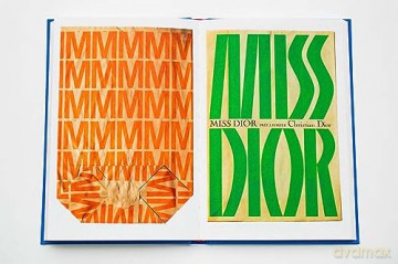 Paul Rand A Designer S Eye - Jp Williams [KSIĄŻKA]