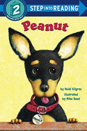 Peanut - Kilgras Heidi [KSIĄŻKA]