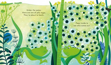 Peep Inside The Pond - Anna Milbourne [KSIĄŻKA]