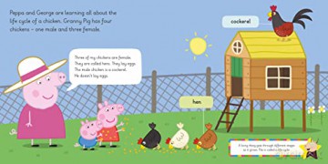 Peppas New Chicks - Peppa Pig [KSIĄŻKA]