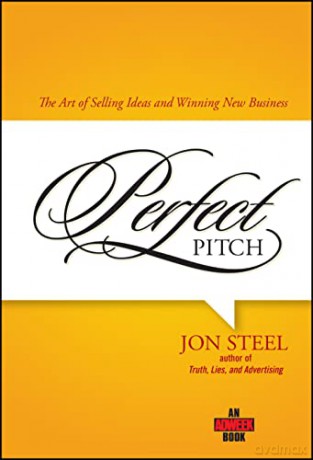 Perfect Pitch - Jon Steel [KSIĄŻKA]