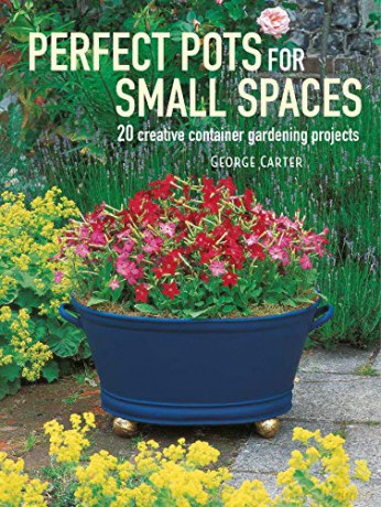 Perfect Pots For Small Spaces - Carter George [KSIĄŻKA]